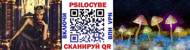 Купить закладки  Светлоград  Псилоцибиновые грибы Psilocybe 